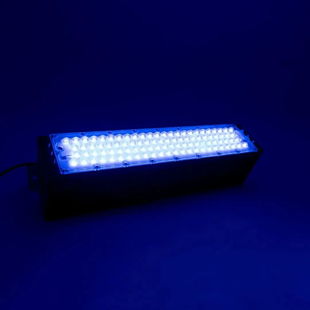 50w Blue Floodlight (36V)
