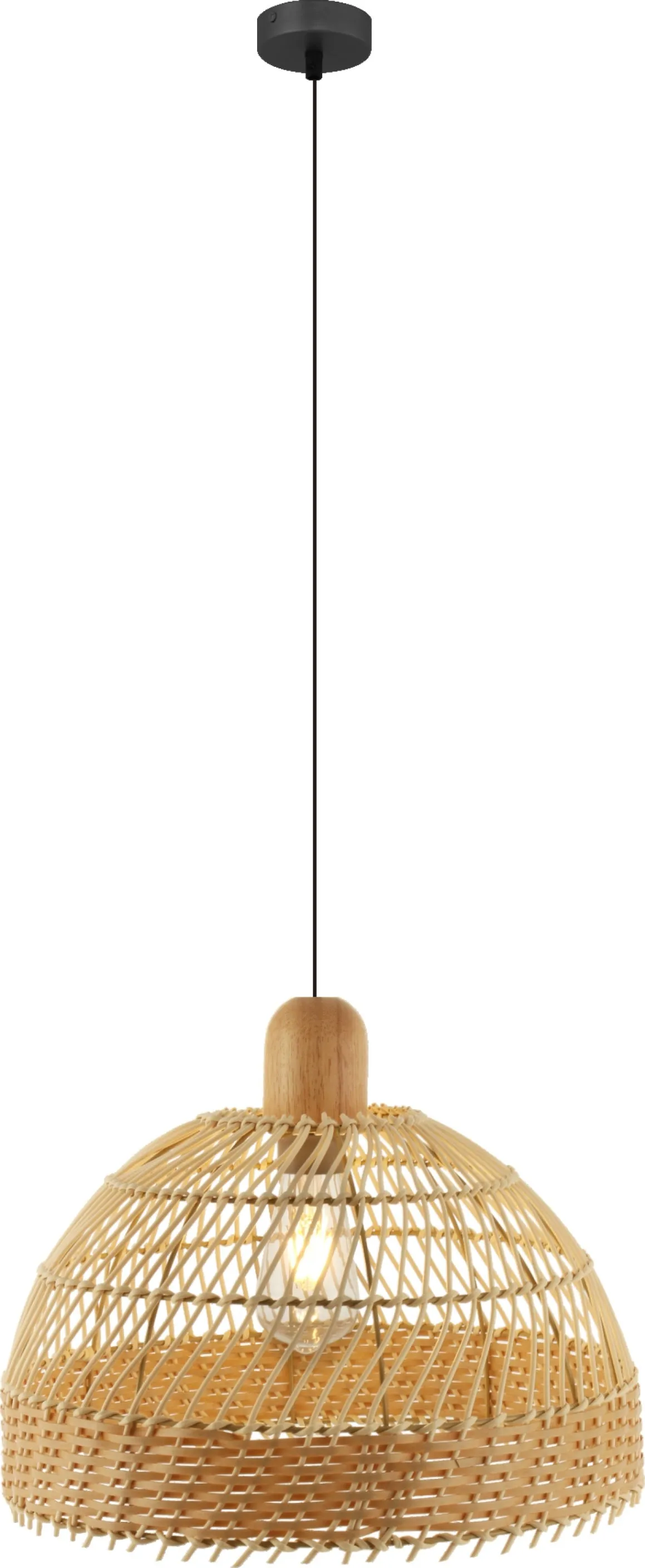 823-1L Pendant Light in Matt Black