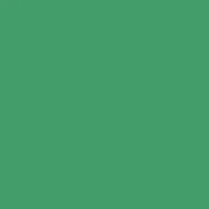Oregon - Coach's Players Shirt - Interlock - Green