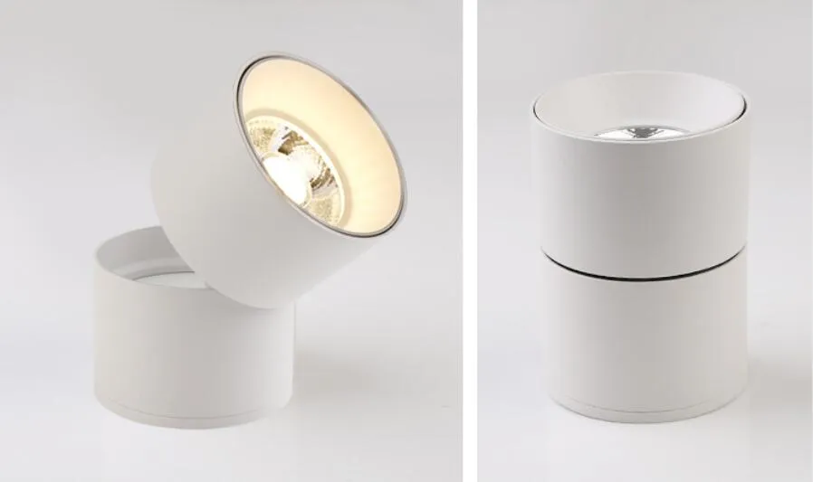 Smart Dimmable LED Downlight L07