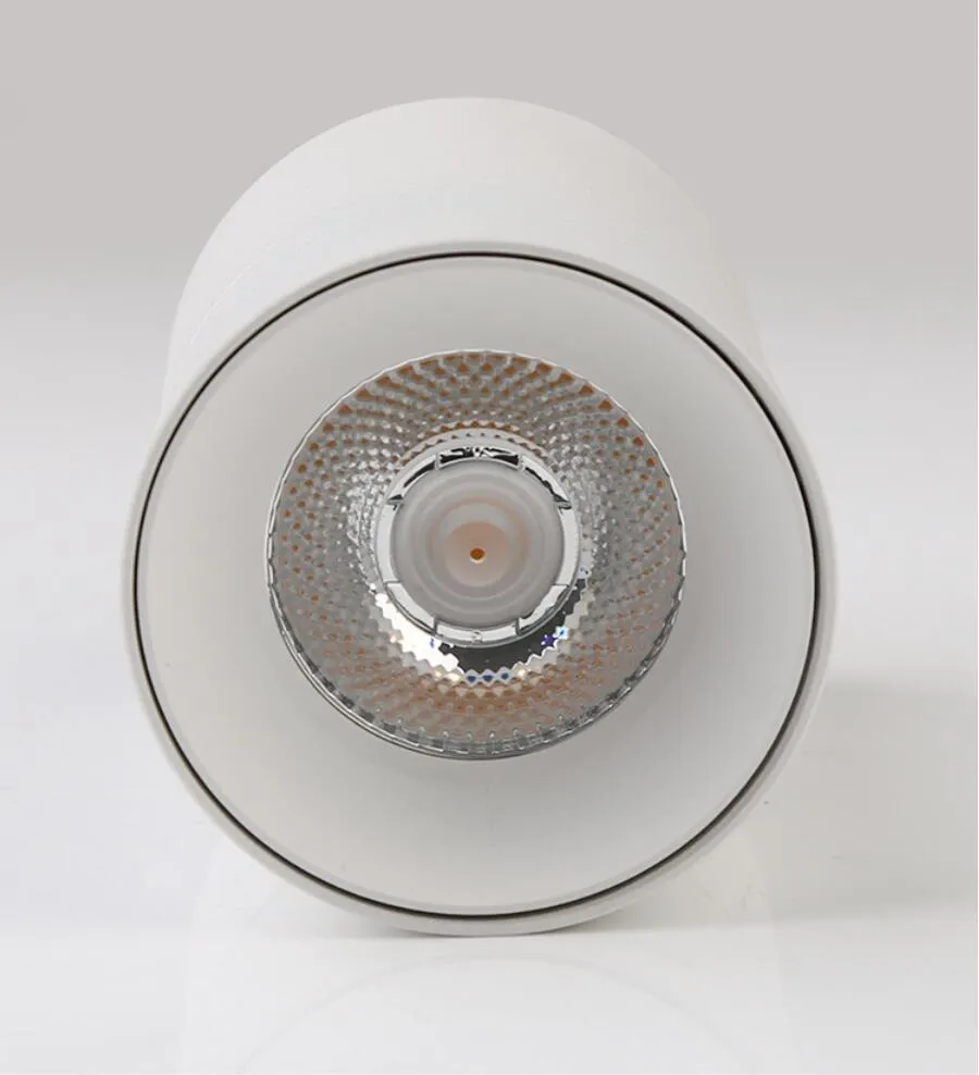 Smart Dimmable LED Downlight L07