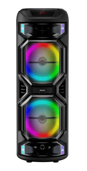 SUPER BASS - Portable Bluetooth Woofer Speaker 12.5 Inch X2 with Wireless Mic – GY1218